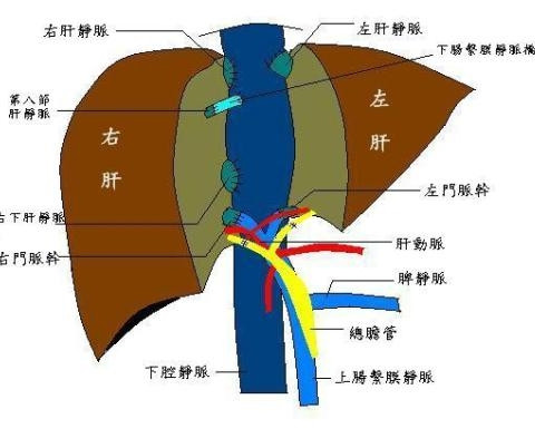 240112发烧并不可怕、可怕的是不会顺势排邪