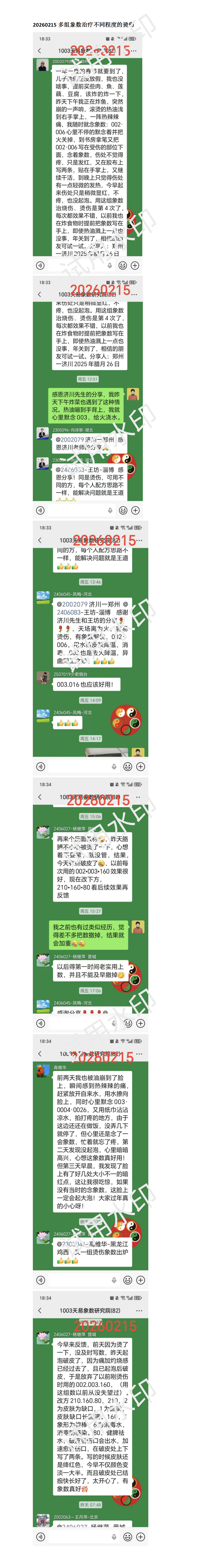 20260215多组象数治疗不同程度的烫伤