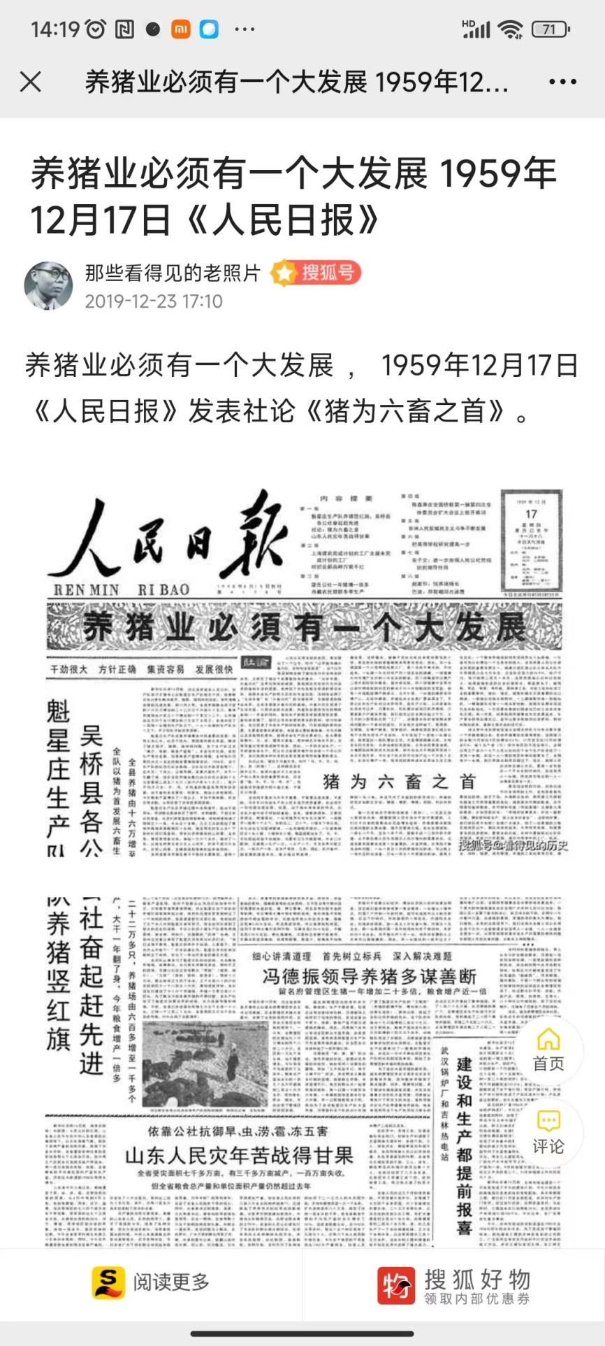 230803五九养猪1