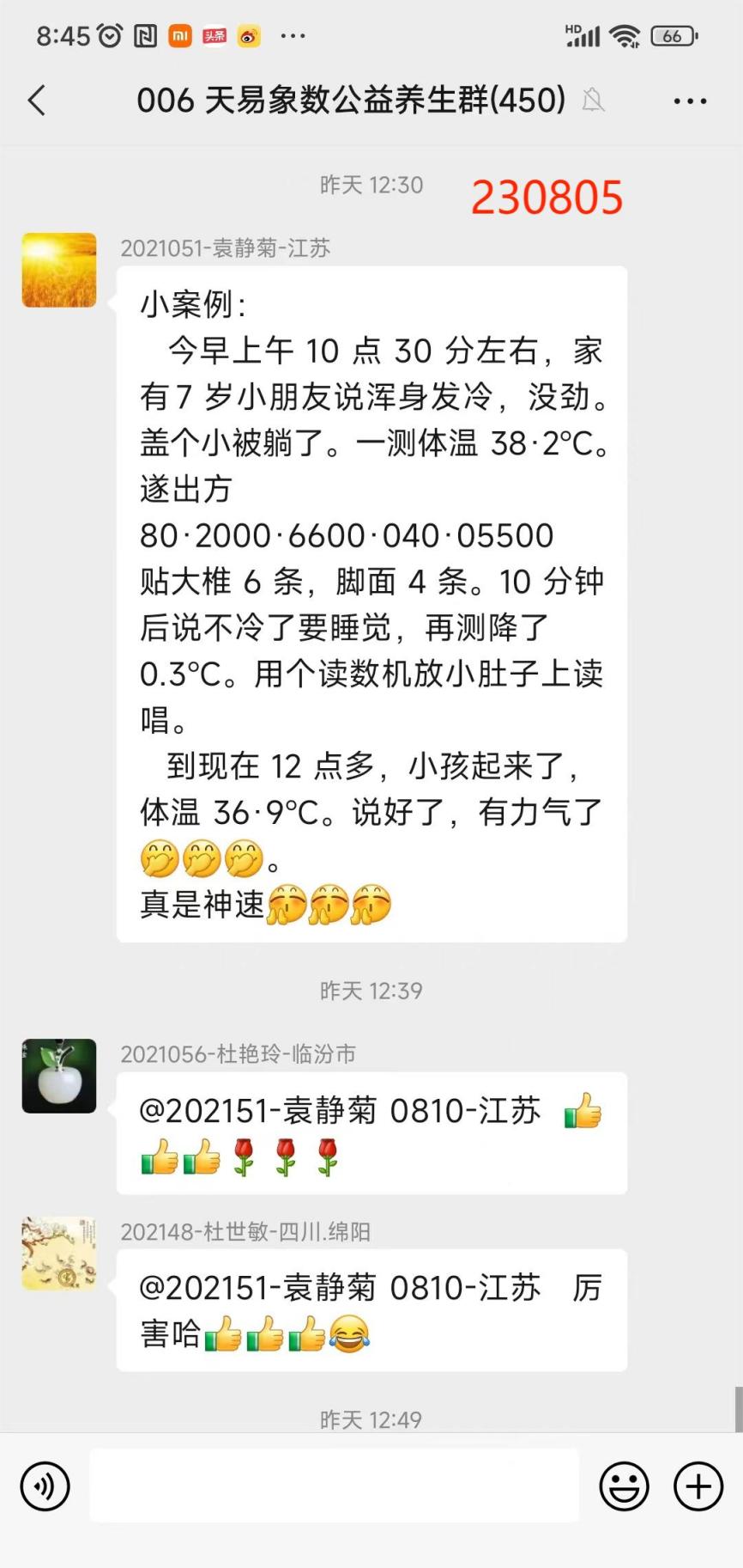 230806静菊退烧