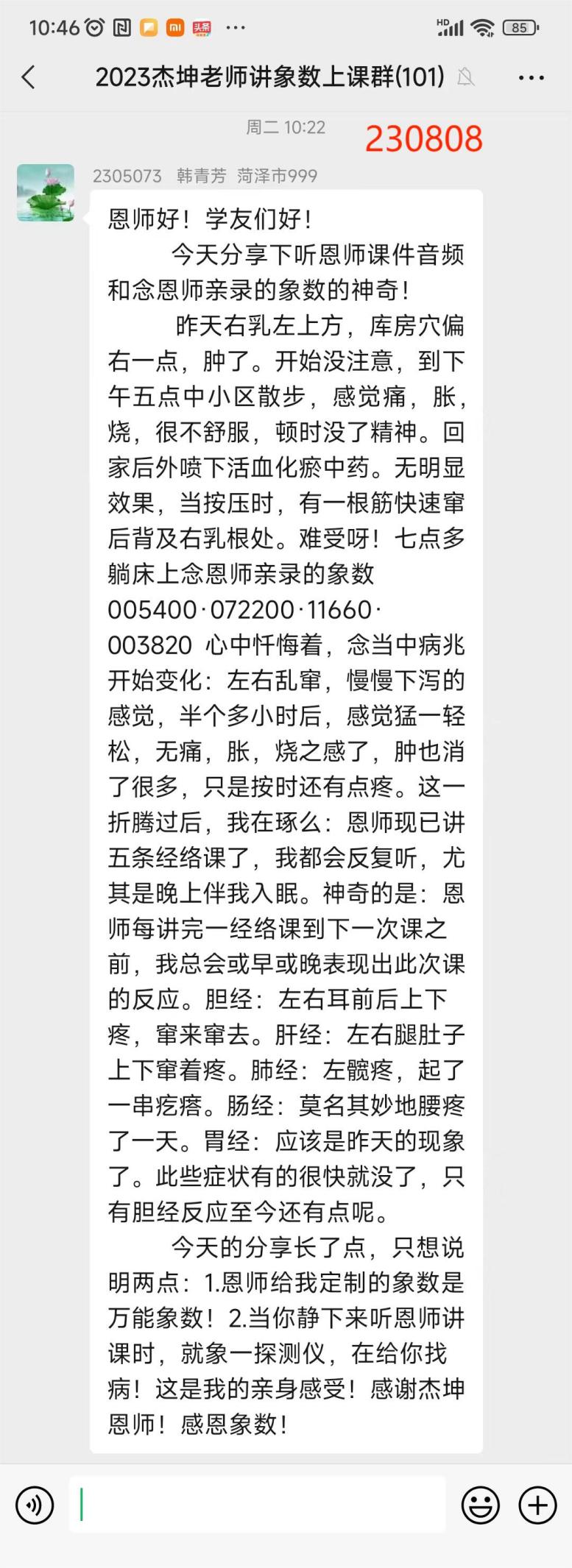 230811青芳念数感觉