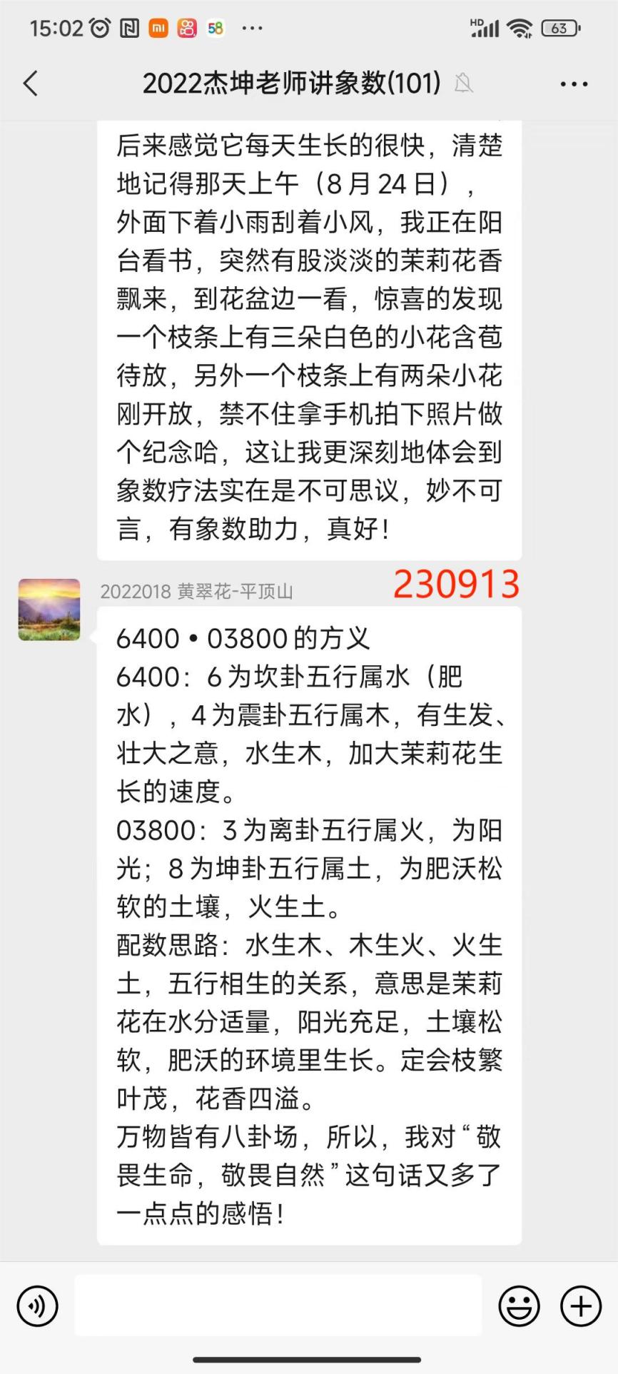 230914茉莉花2