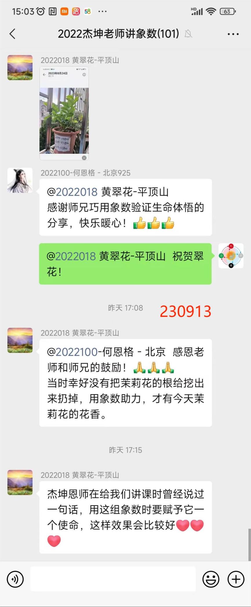 230914茉莉花3