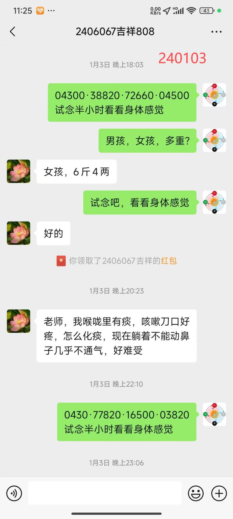说明: 241206保胎31