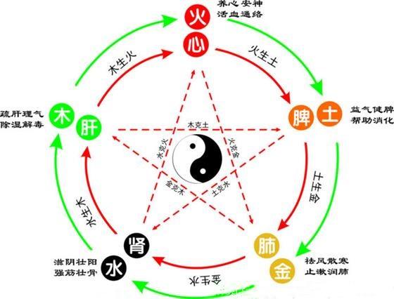 说明: 五行五脏