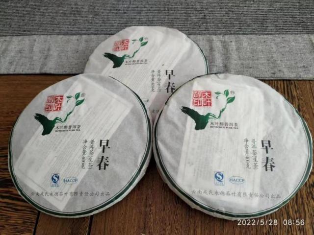 说明: 240430早春