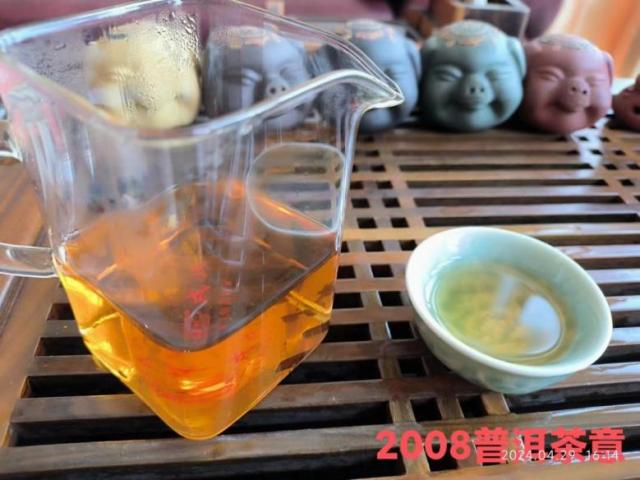 说明: 240429普洱茶艺茶汤