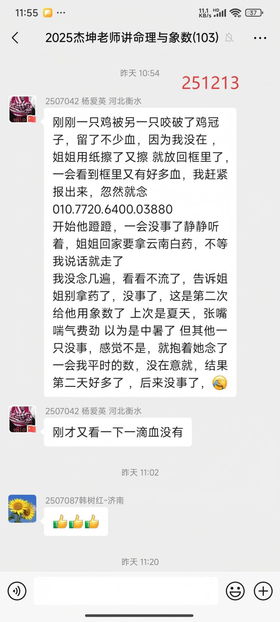 说明: 251214给公鸡止血